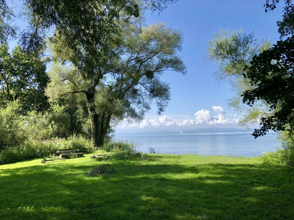 Wohlfuehl-apartment Auenwald Im Naturschutzgebiet Mit Privatstrand Friedrichshafen